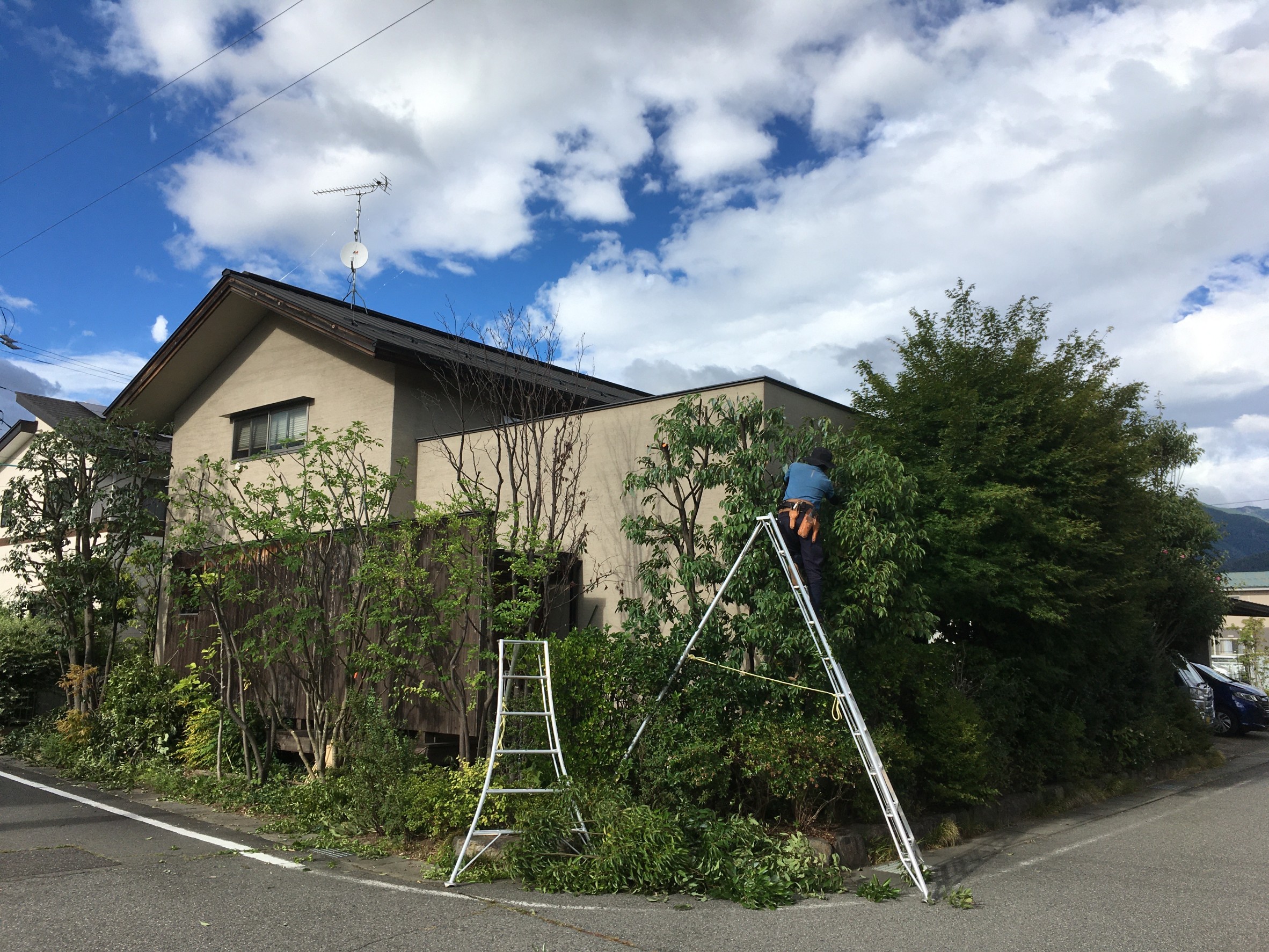 松本市　剪定　個人宅